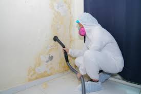 Why You Should Choose Our Mold Remediation Services in Alexandria, AL